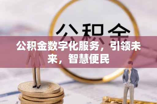 红河县公积金数字化服务，引领未来，智慧便民